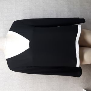 The Limited Black and White V-Neck Blouse
